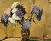 Asters